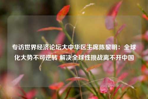 专访世界经济论坛大中华区主席陈黎明：全球化大势不可逆转 解决全球性挑战离不开中国