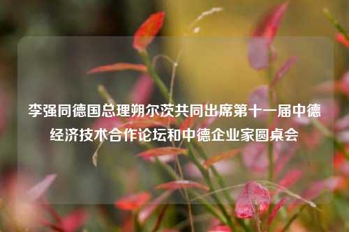 李强同德国总理朔尔茨共同出席第十一届中德经济技术合作论坛和中德企业家圆桌会