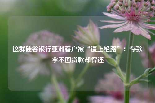 这群硅谷银行亚洲客户被“逼上绝路”：存款拿不回贷款却得还