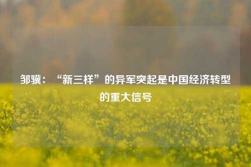 邹骥：“新三样”的异军突起是中国经济转型的重大信号