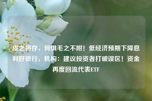 皮之将存，何惧毛之不附！低经济预期下降息利好银行，机构：建议投资者打破误区！资金再度回流代表ETF