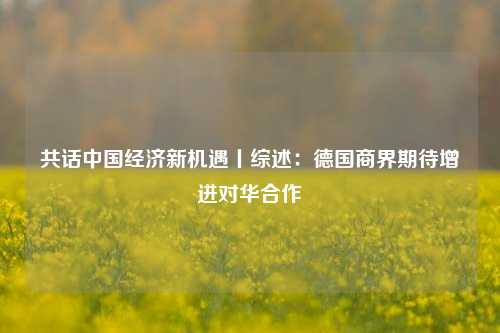 共话中国经济新机遇丨综述：德国商界期待增进对华合作