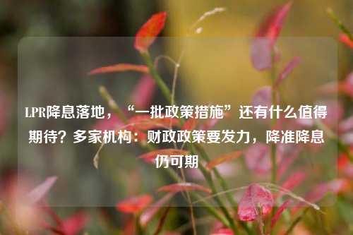 LPR降息落地，“一批政策措施”还有什么值得期待？多家机构：财政政策要发力，降准降息仍可期