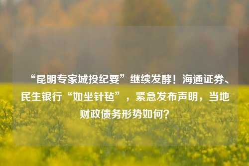“昆明专家城投纪要”继续发酵！海通证券、民生银行“如坐针毡”，紧急发布声明，当地财政债务形势如何？