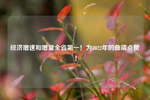 经济增速和增量全省第一！为2022年的曲靖点赞！