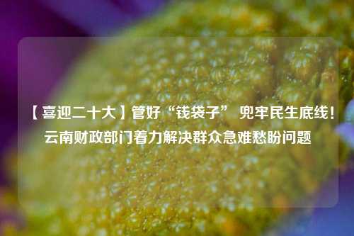 【喜迎二十大】管好“钱袋子” 兜牢民生底线！云南财政部门着力解决群众急难愁盼问题