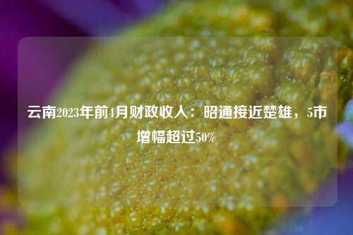 云南2023年前4月财政收入：昭通接近楚雄，5市增幅超过50%