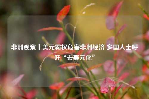 非洲观察丨美元霸权危害非洲经济 多国人士呼吁“去美元化”