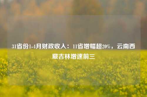 31省份1-4月财政收入：11省增幅超20%，云南西藏吉林增速前三