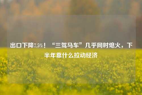 出口下降7.5%！“三驾马车”几乎同时熄火，下半年靠什么拉动经济