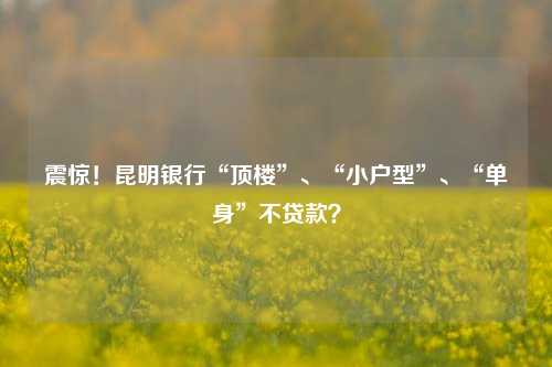 震惊！昆明银行“顶楼”、“小户型”、“单身”不贷款？