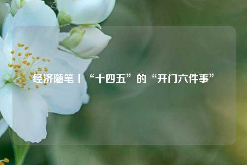 经济随笔丨“十四五”的“开门六件事”