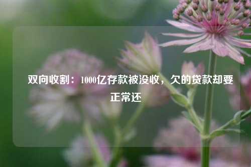 ​双向收割：1000亿存款被没收，欠的贷款却要正常还