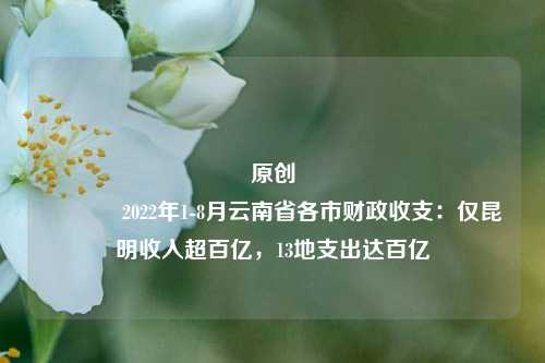 原创 2022年1-8月云南省各市财政收支：仅昆明收入超百亿，13地支出达百亿