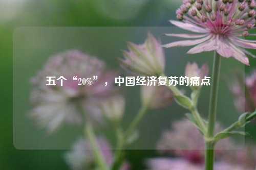 五个“20%”，中国经济复苏的痛点