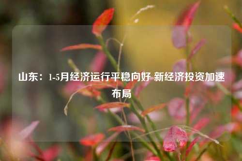 山东：1-5月经济运行平稳向好 新经济投资加速布局