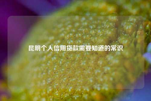 昆明个人信用贷款需要知道的常识