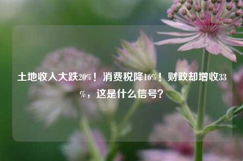 土地收入大跌20%！消费税降16%！财政却增收33%，这是什么信号？