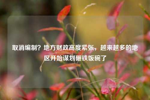 取消编制？地方财政高度紧张，越来越多的地区开始谋划砸铁饭碗了