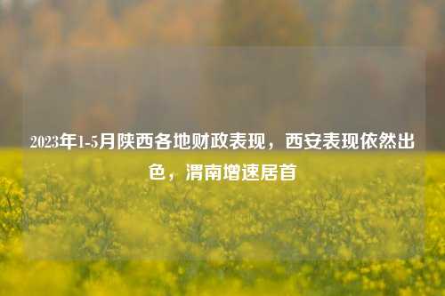 2023年1-5月陕西各地财政表现，西安表现依然出色，渭南增速居首