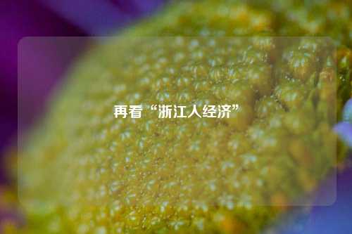 再看“浙江人经济”