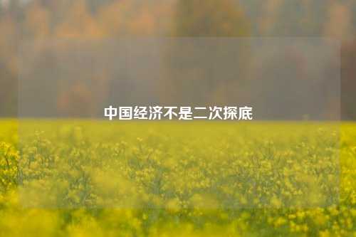 中国经济不是二次探底