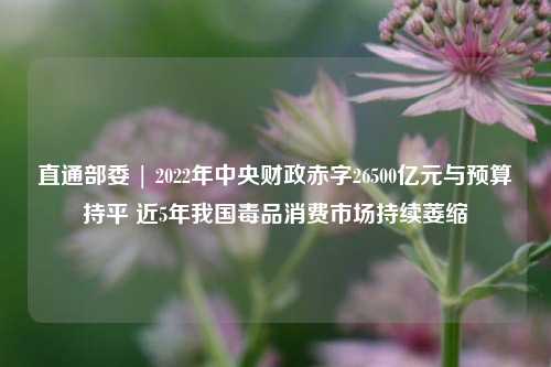 直通部委 | 2022年中央财政赤字26500亿元与预算持平 近5年我国毒品消费市场持续萎缩