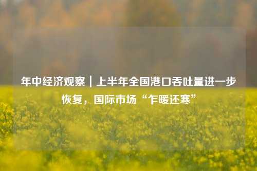 年中经济观察｜上半年全国港口吞吐量进一步恢复，国际市场“乍暖还寒”
