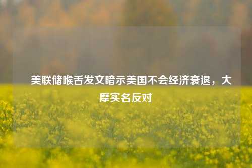 ​美联储喉舌发文暗示美国不会经济衰退，大摩实名反对