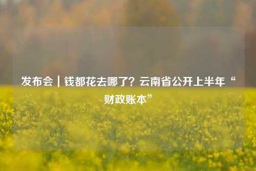 发布会｜钱都花去哪了？云南省公开上半年“财政账本”