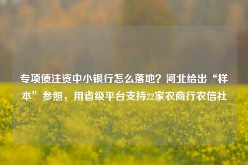 专项债注资中小银行怎么落地？河北给出“样本”参照，用省级平台支持22家农商行农信社
