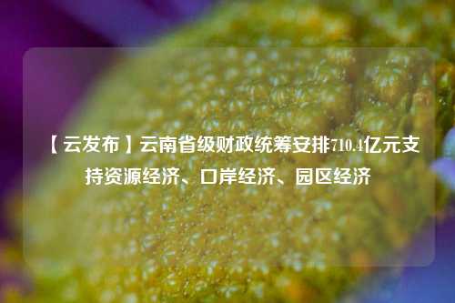 【云发布】云南省级财政统筹安排710.4亿元支持资源经济、口岸经济、园区经济