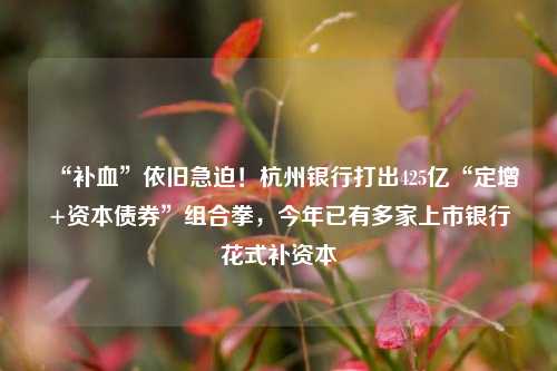 “补血”依旧急迫！杭州银行打出425亿“定增+资本债券”组合拳，今年已有多家上市银行花式补资本
