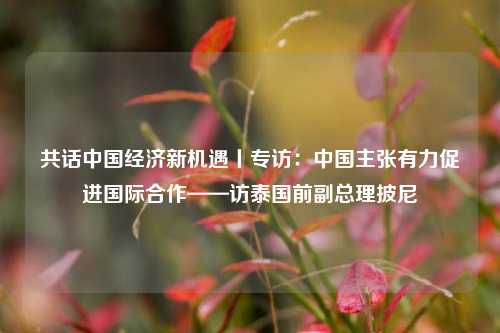 共话中国经济新机遇丨专访：中国主张有力促进国际合作——访泰国前副总理披尼