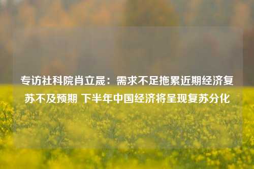 专访社科院肖立晟：需求不足拖累近期经济复苏不及预期 下半年中国经济将呈现复苏分化