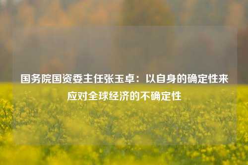 国务院国资委主任张玉卓：以自身的确定性来应对全球经济的不确定性