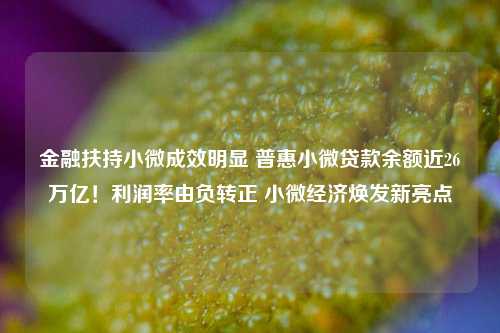 金融扶持小微成效明显 普惠小微贷款余额近26万亿！利润率由负转正 小微经济焕发新亮点