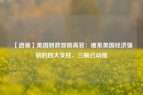 【透视】美国财政部前高官：维系美国经济强韧的四大支柱，三根已动摇