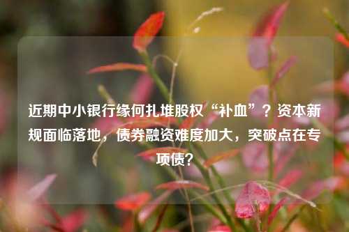 近期中小银行缘何扎堆股权“补血”？资本新规面临落地，债券融资难度加大，突破点在专项债？