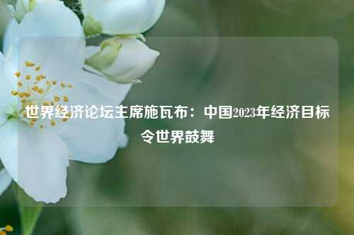 世界经济论坛主席施瓦布：中国2023年经济目标令世界鼓舞
