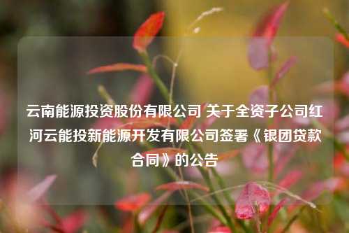 云南能源投资股份有限公司 关于全资子公司红河云能投新能源开发有限公司签署《银团贷款合同》的公告