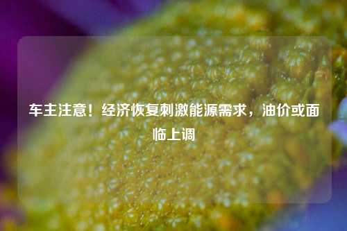 车主注意！经济恢复刺激能源需求，油价或面临上调