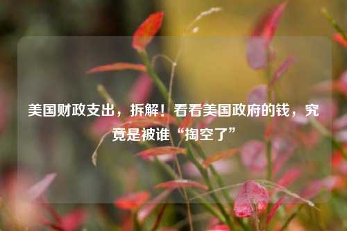 美国财政支出，拆解！看看美国政府的钱，究竟是被谁“掏空了” 政府支出 财政支出 行业新闻 第1张
