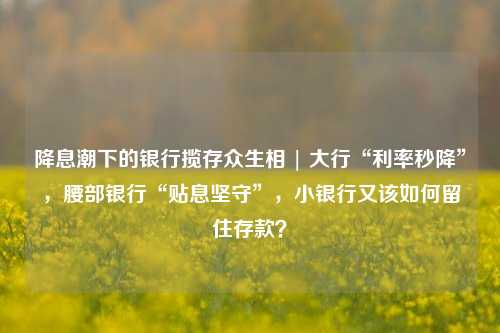 降息潮下的银行揽存众生相 | 大行“利率秒降”，腰部银行“贴息坚守”，小银行又该如何留住存款？