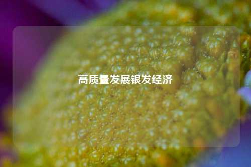 高质量发展银发经济 经济 行业新闻 第1张