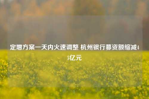定增方案一天内火速调整 杭州银行募资额缩减45亿元