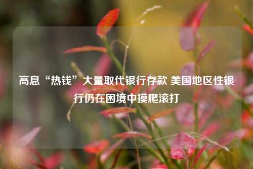 高息“热钱”大量取代银行存款 美国地区性银行仍在困境中摸爬滚打