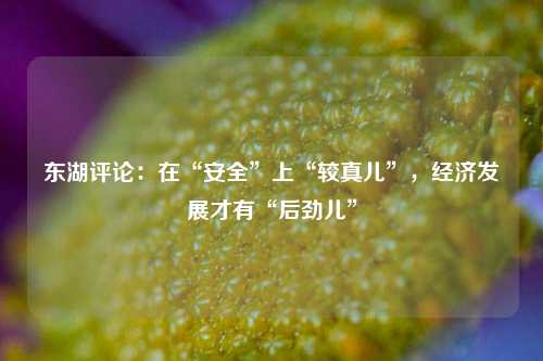 东湖评论：在“安全”上“较真儿”，经济发展才有“后劲儿”