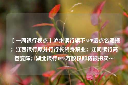 【一周银行视点】泸州银行旗下APP遭点名通报；江西银行原分行行长终身禁业；江阴银行高管变阵；湖北银行1865万股权即将被拍卖…