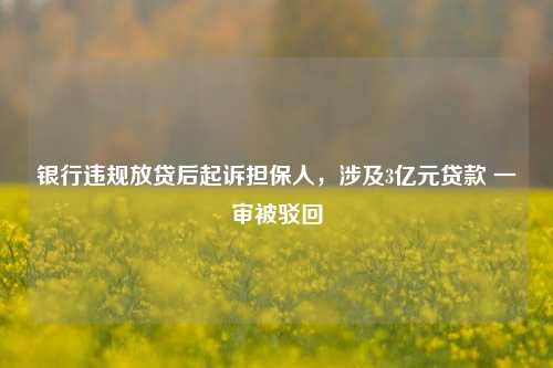 银行违规放贷后起诉担保人，涉及3亿元贷款 一审被驳回